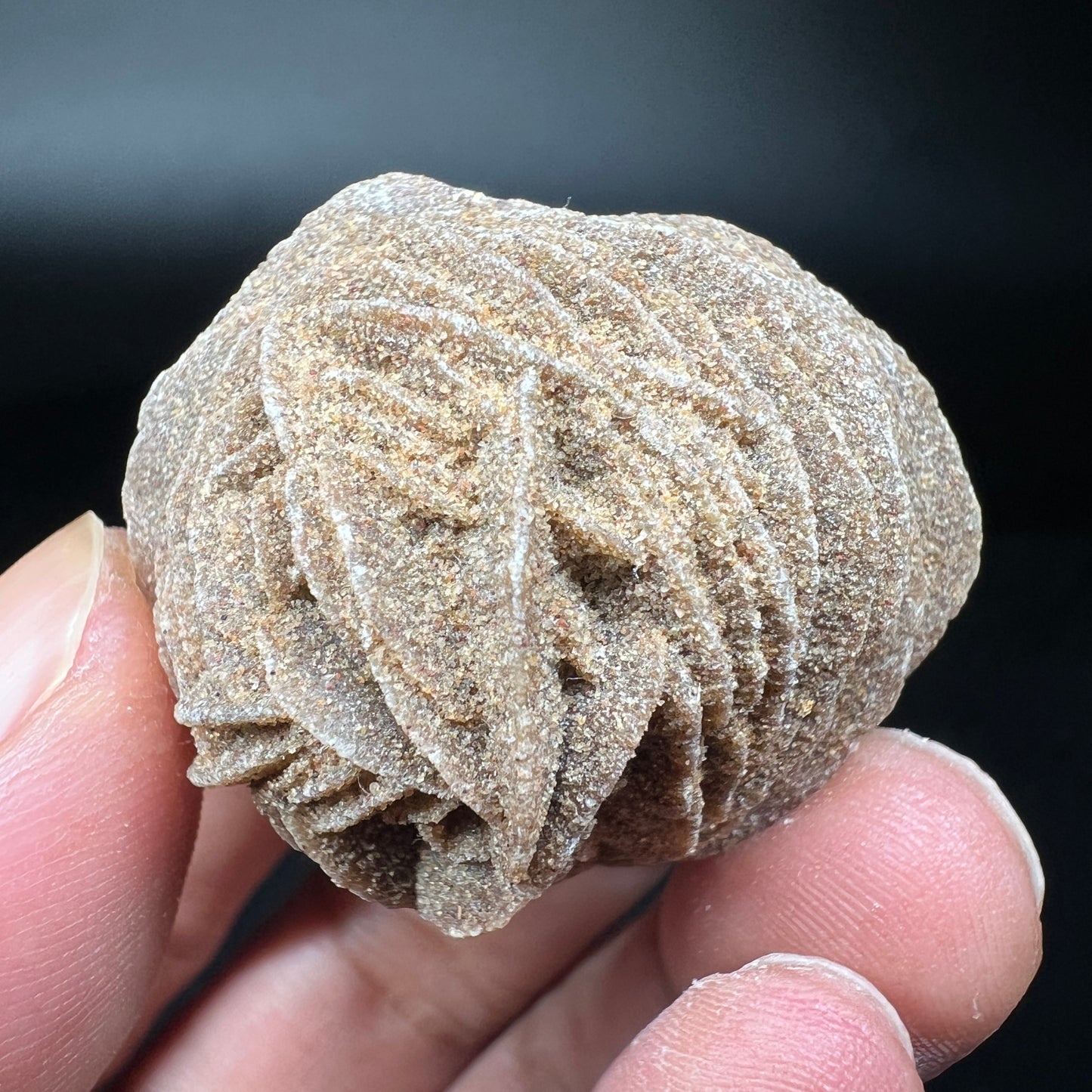 Gypsum (Free shipping)