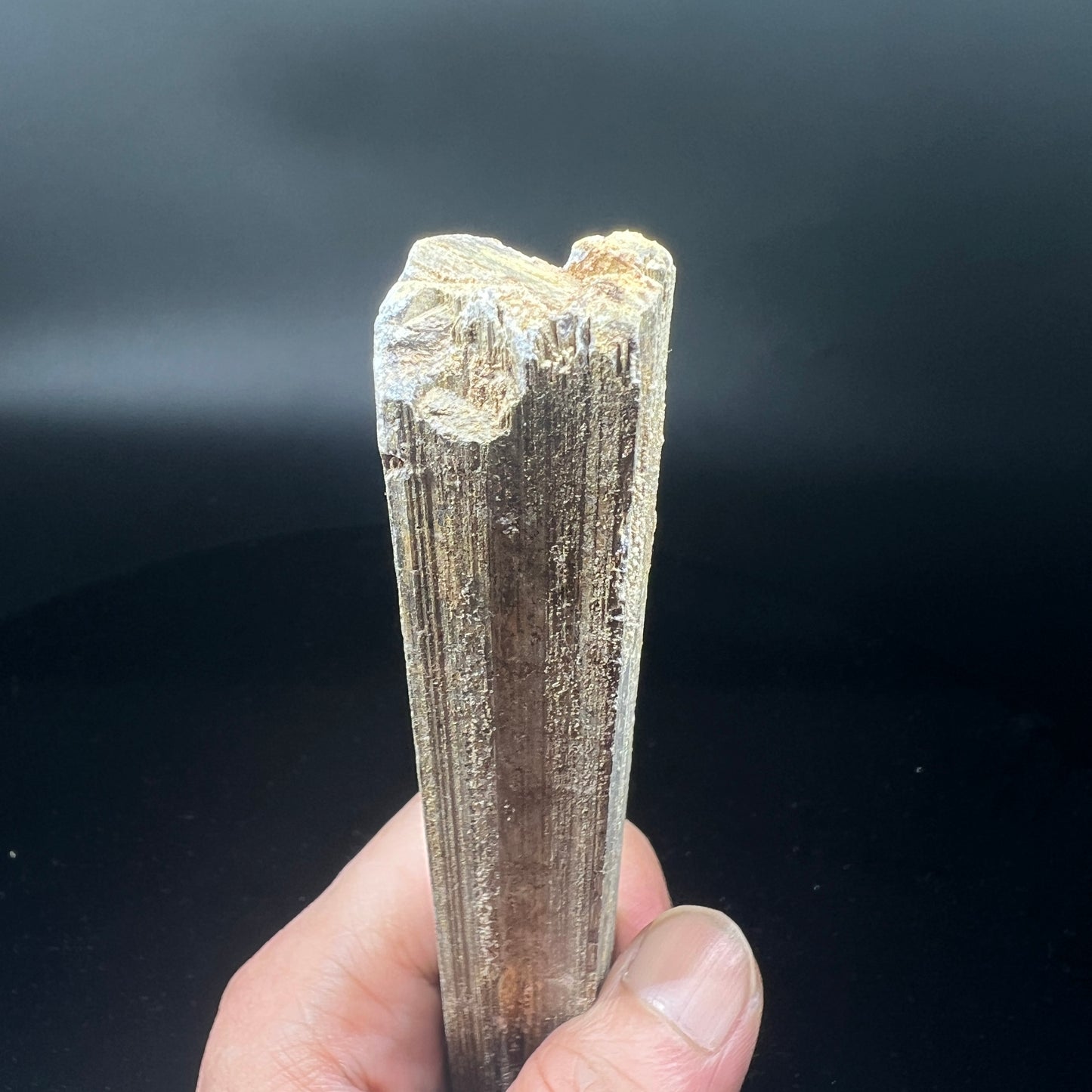 Valentinite parcel Stibnite (Free shipping)