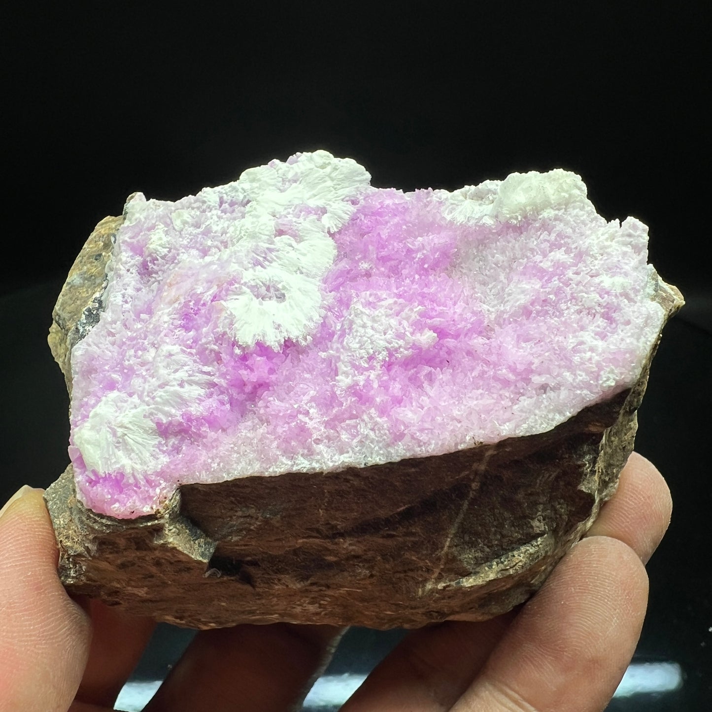 Aragonite (Free shipping)