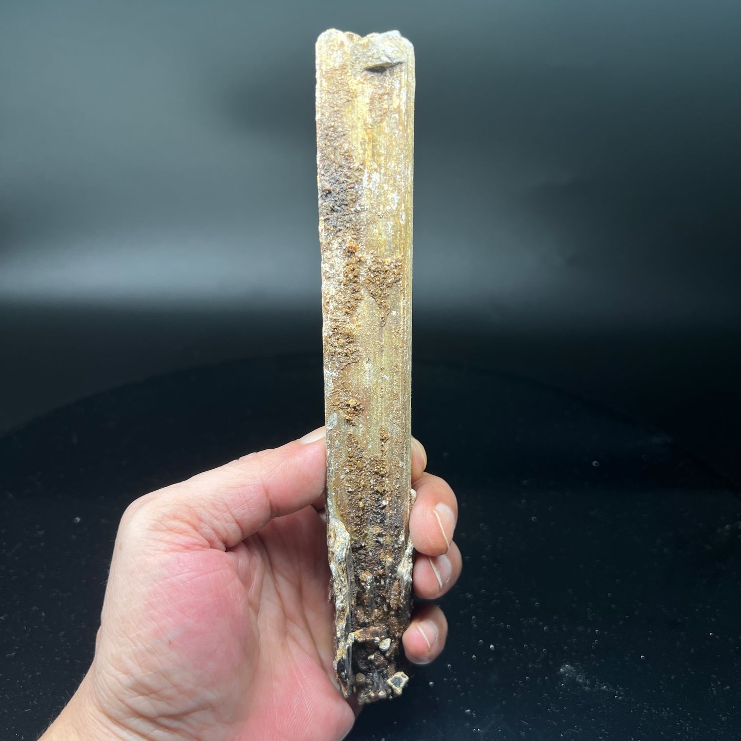 Valentinite parcel Stibnite (Free shipping)