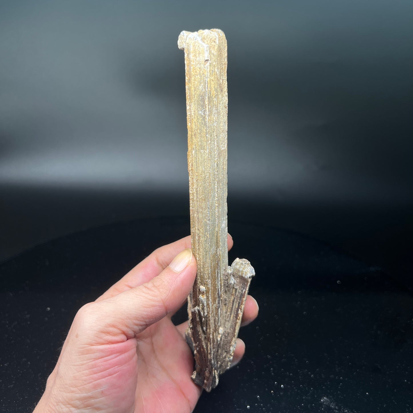 Valentinite parcel Stibnite (Free shipping)