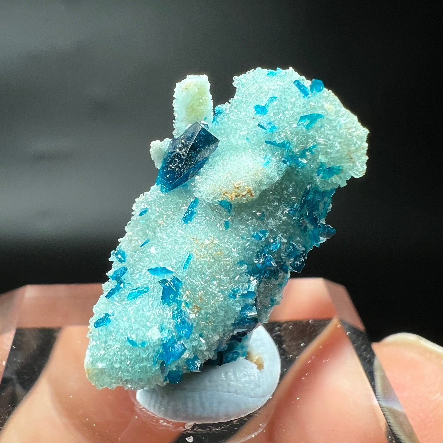 Veszelyite + Quartz (Free shipping)