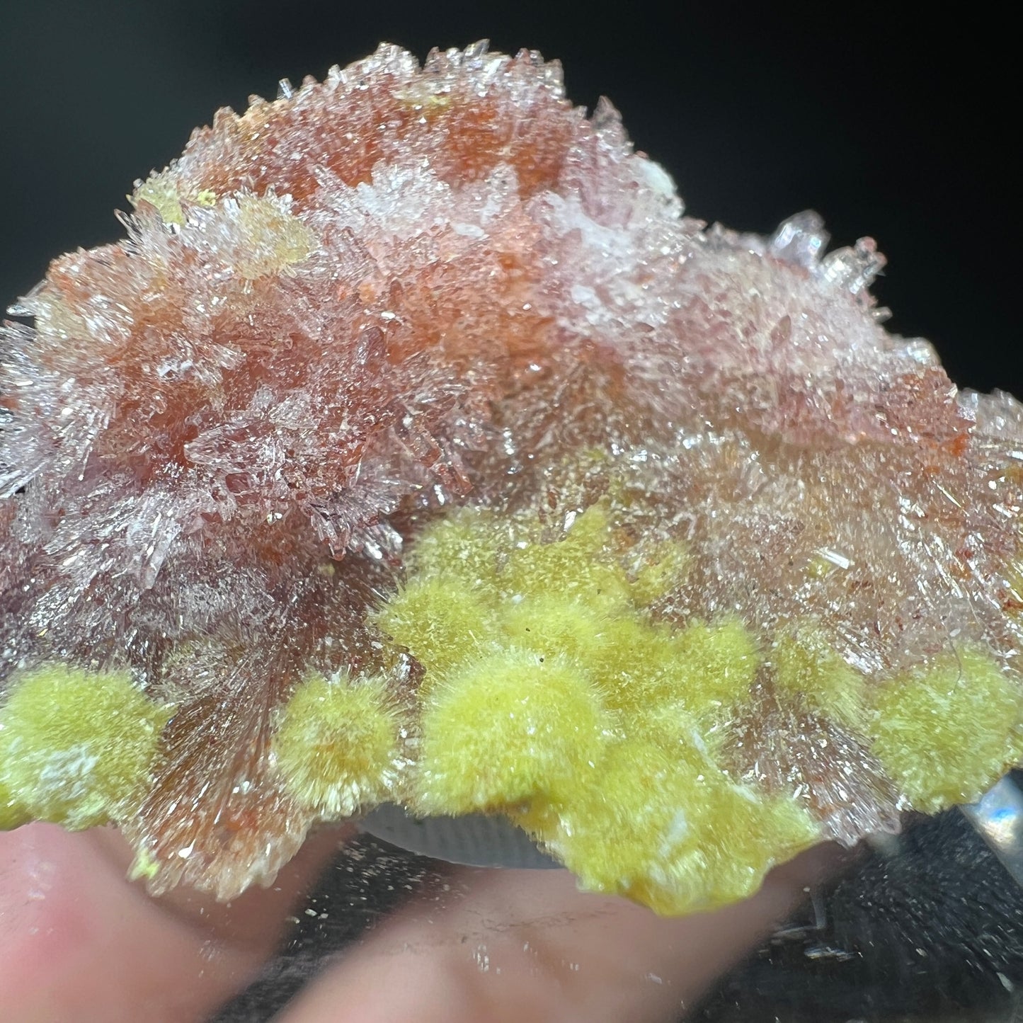 Carlhintzeite + Creedite (Free shipping)
