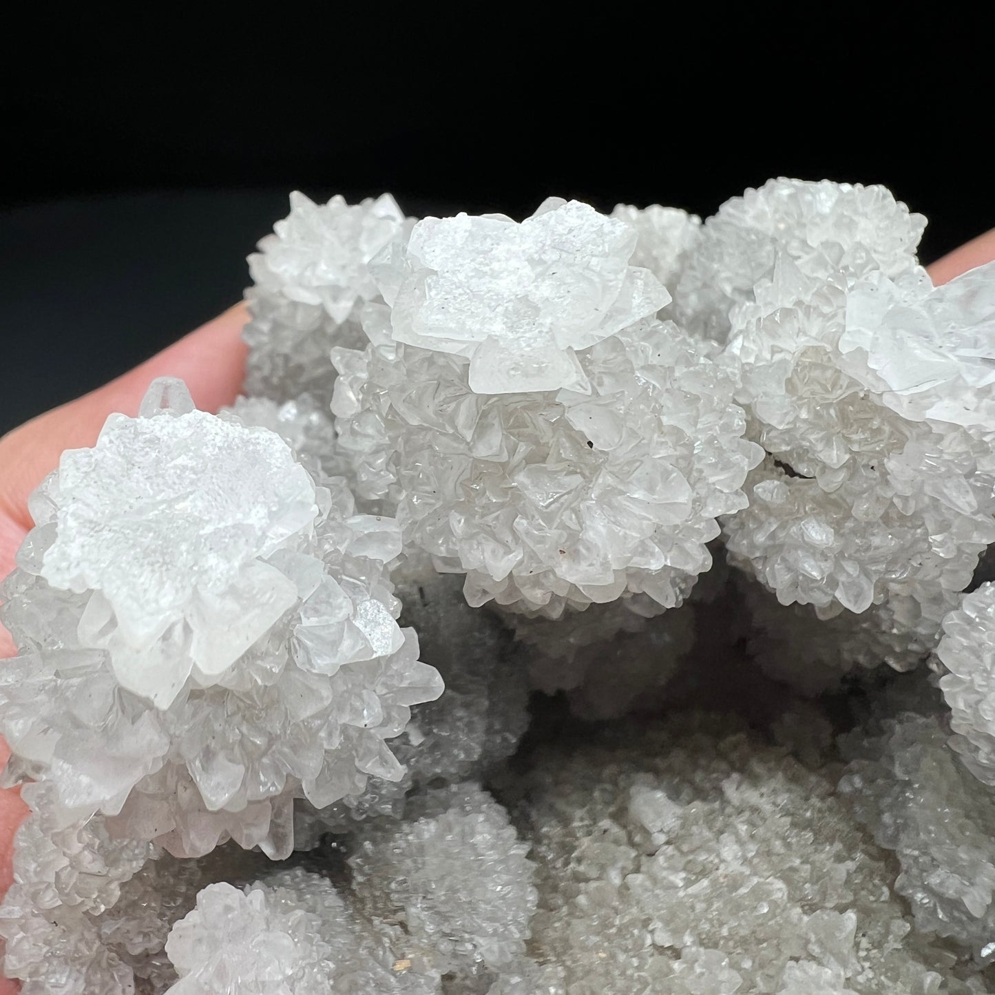 Flowers jungle Calcite (Free shipping worldwide)