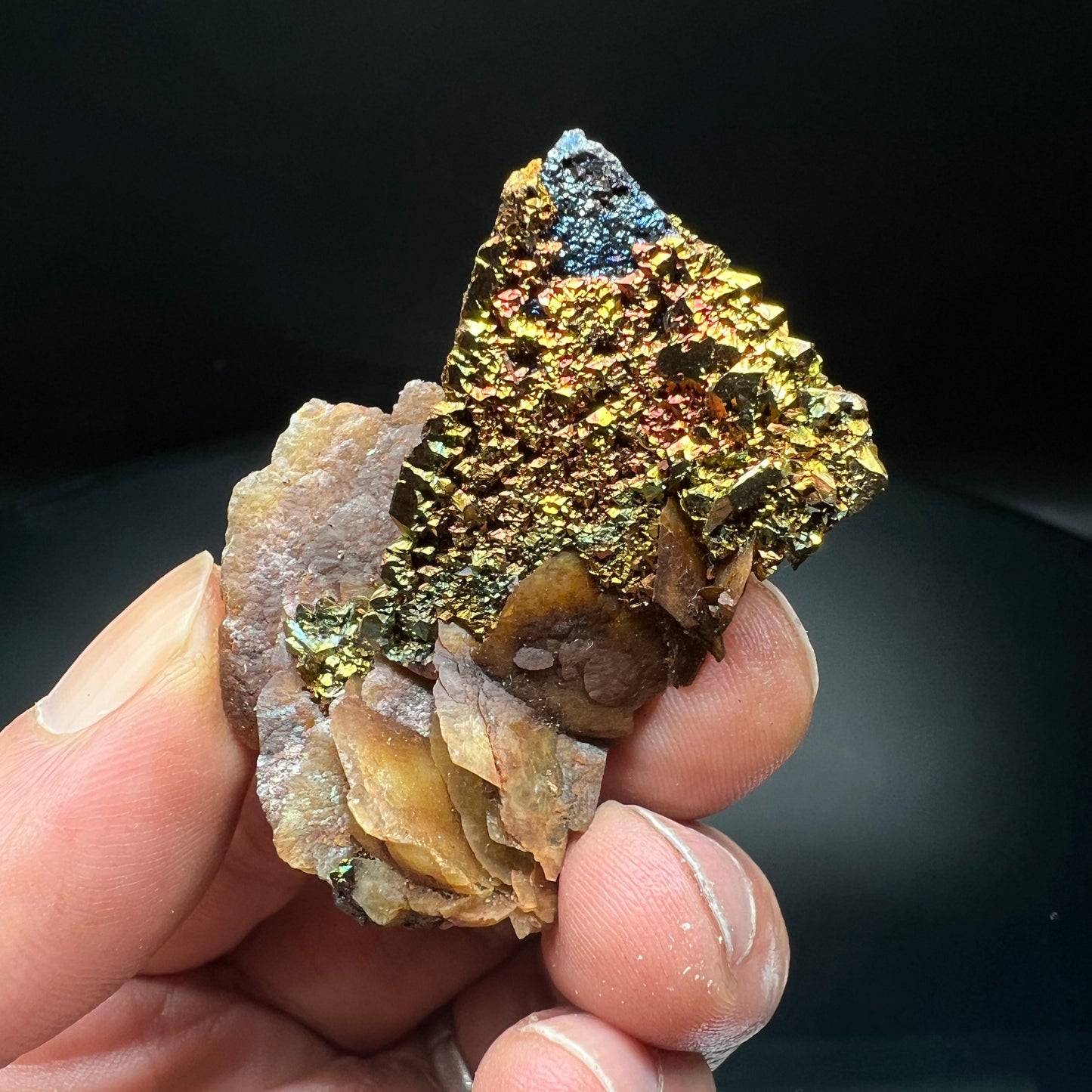 Tetrahedrite + Chalcopyrite + Siderite (Free shipping)