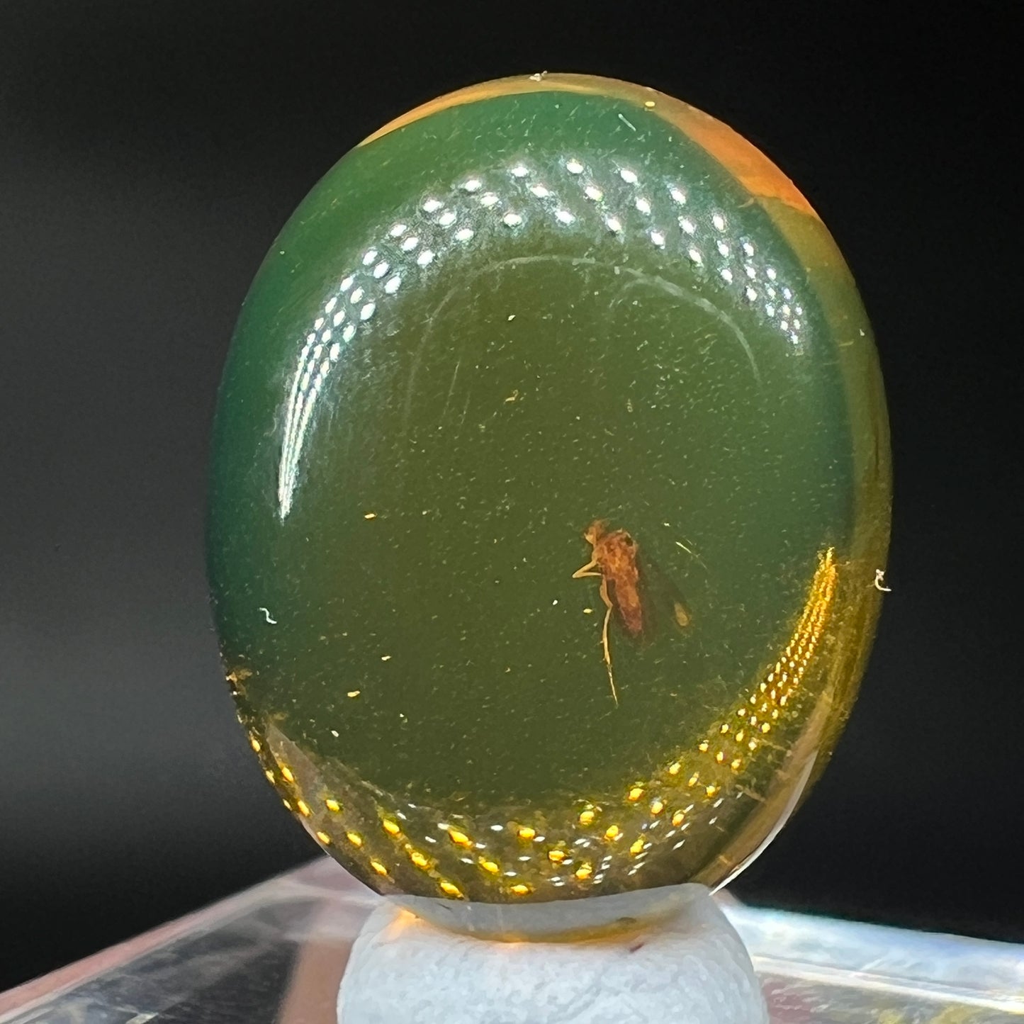 Amber moth (Free shipping)