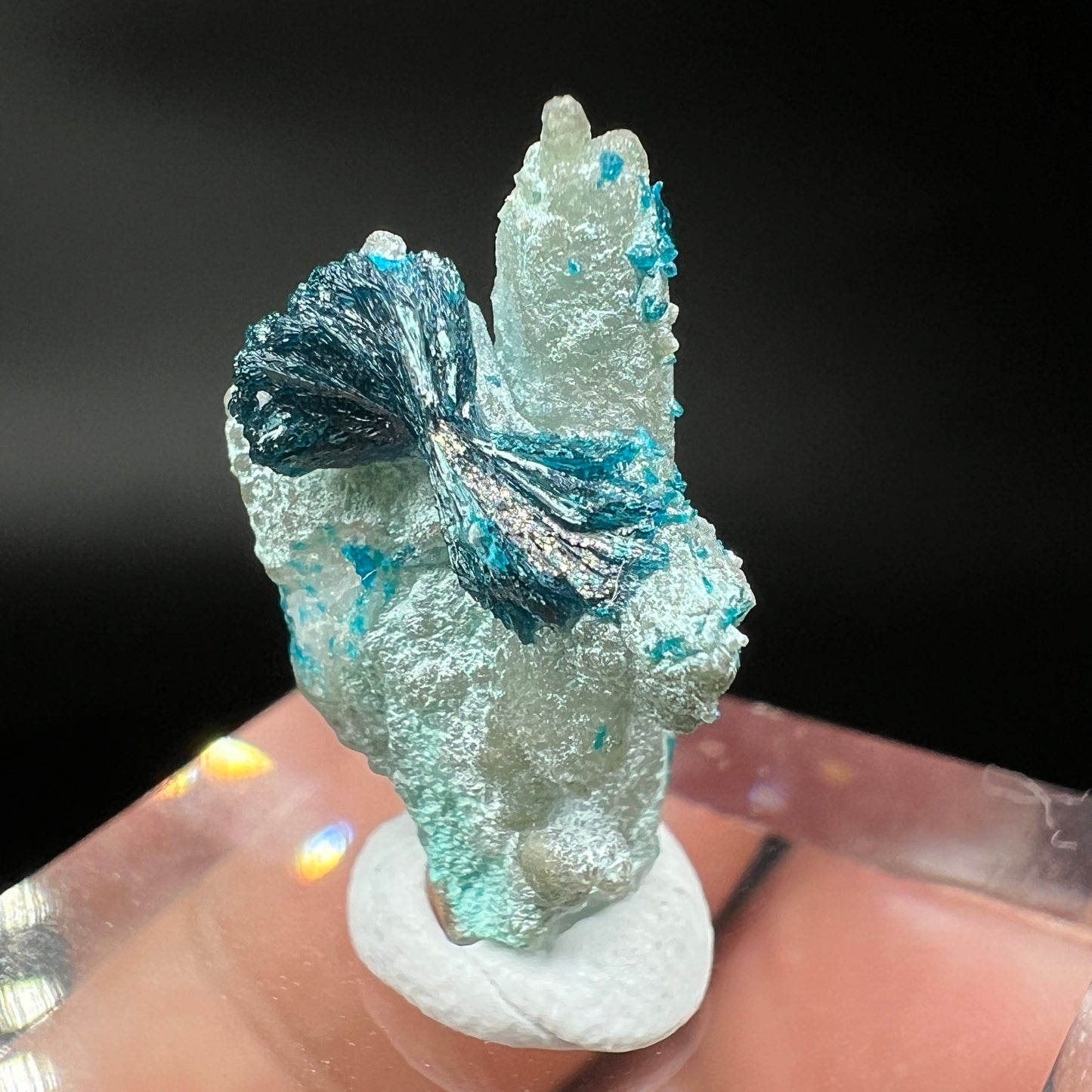 Bows Veszelyite (Free shipping)