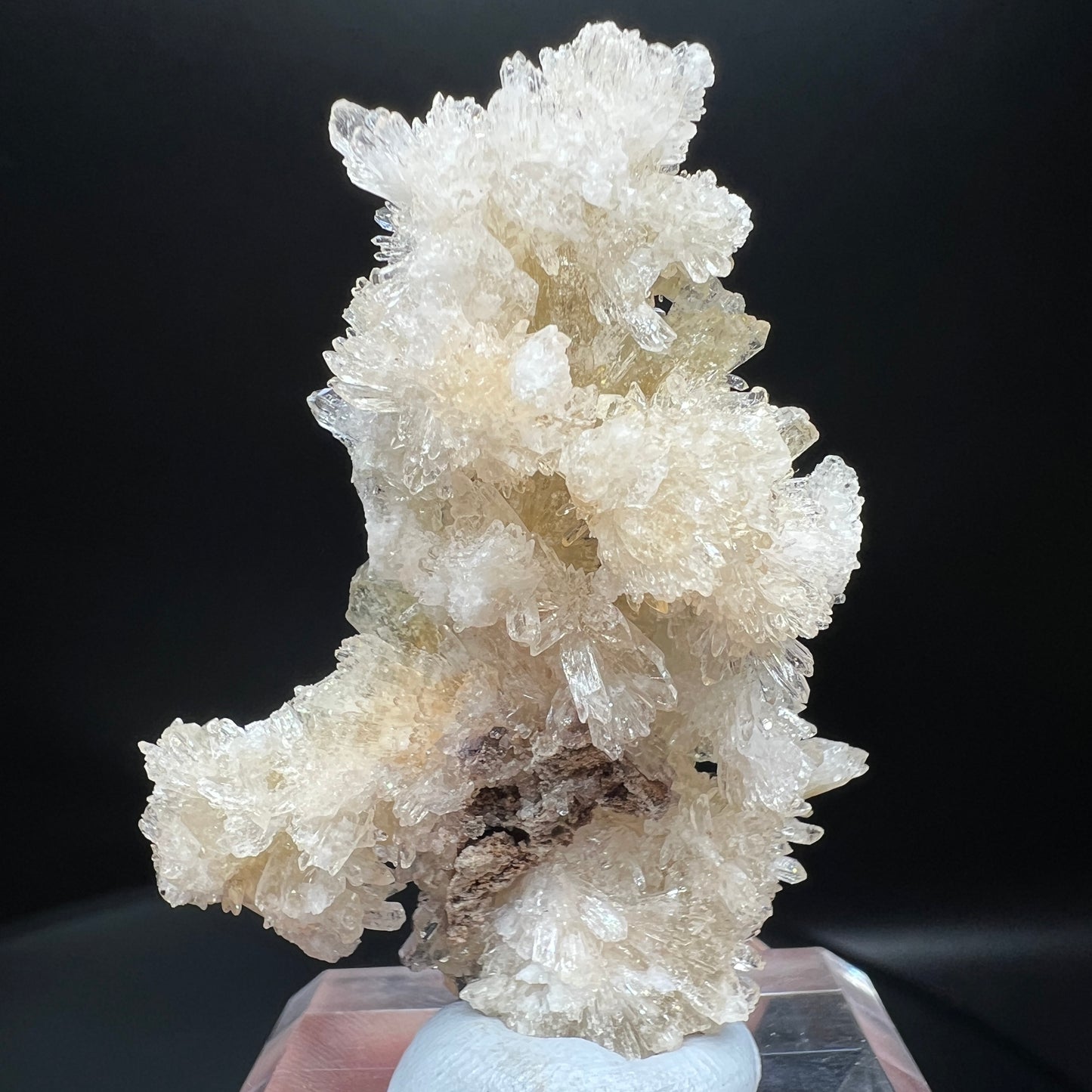 Creedite(Free shipping)