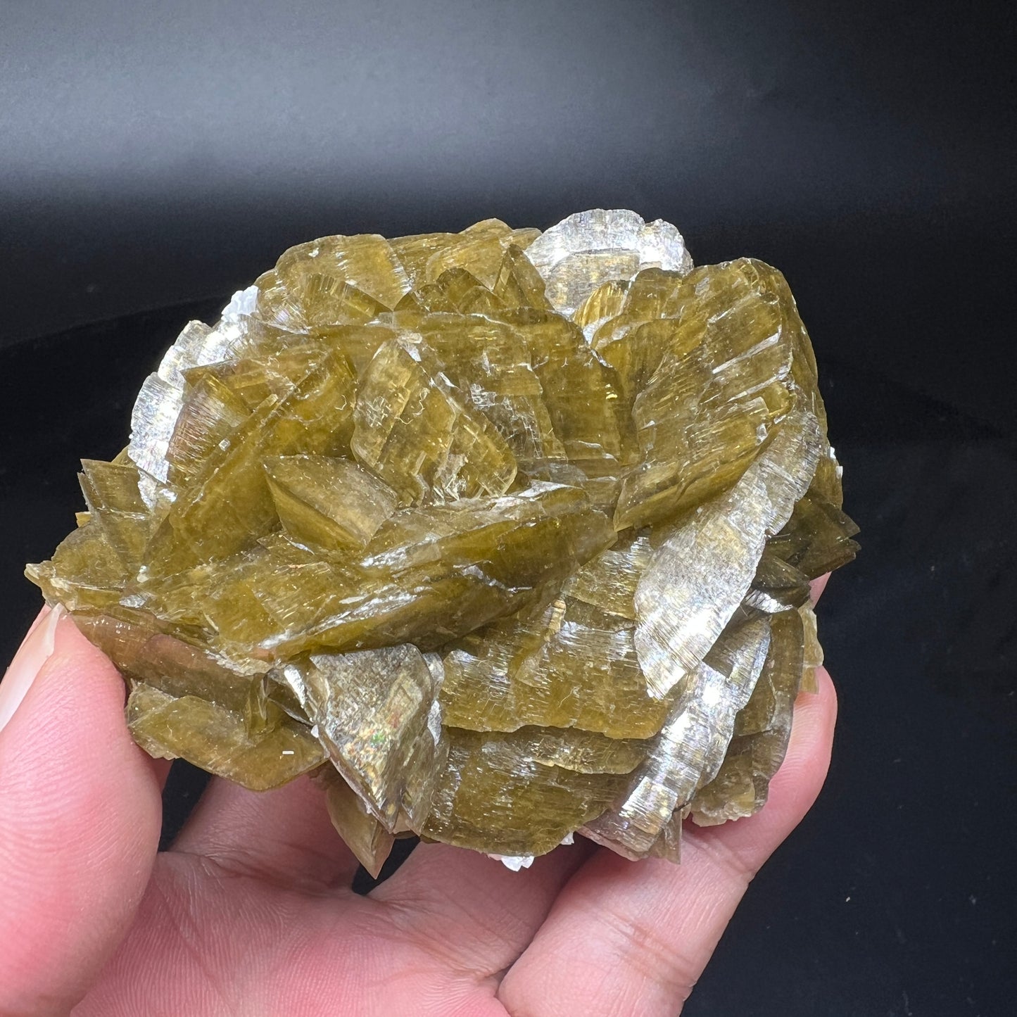 Siderite rose + Dolomite (Free shipping)