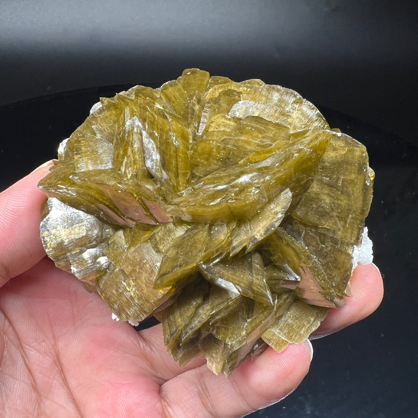 Siderite rose + Dolomite (Free shipping)