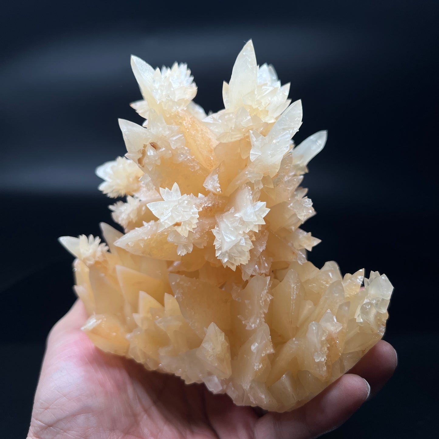 Calcite (Free shipping)