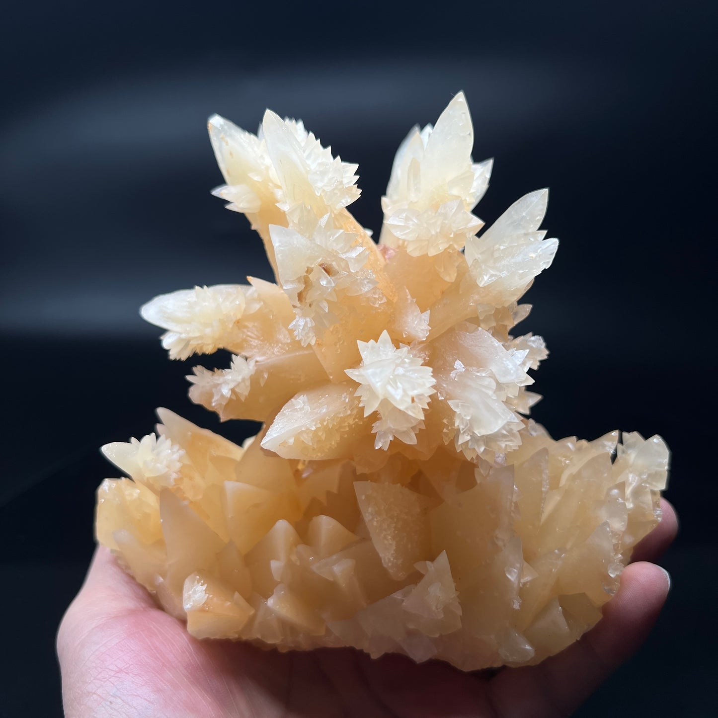 Calcite (Free shipping)