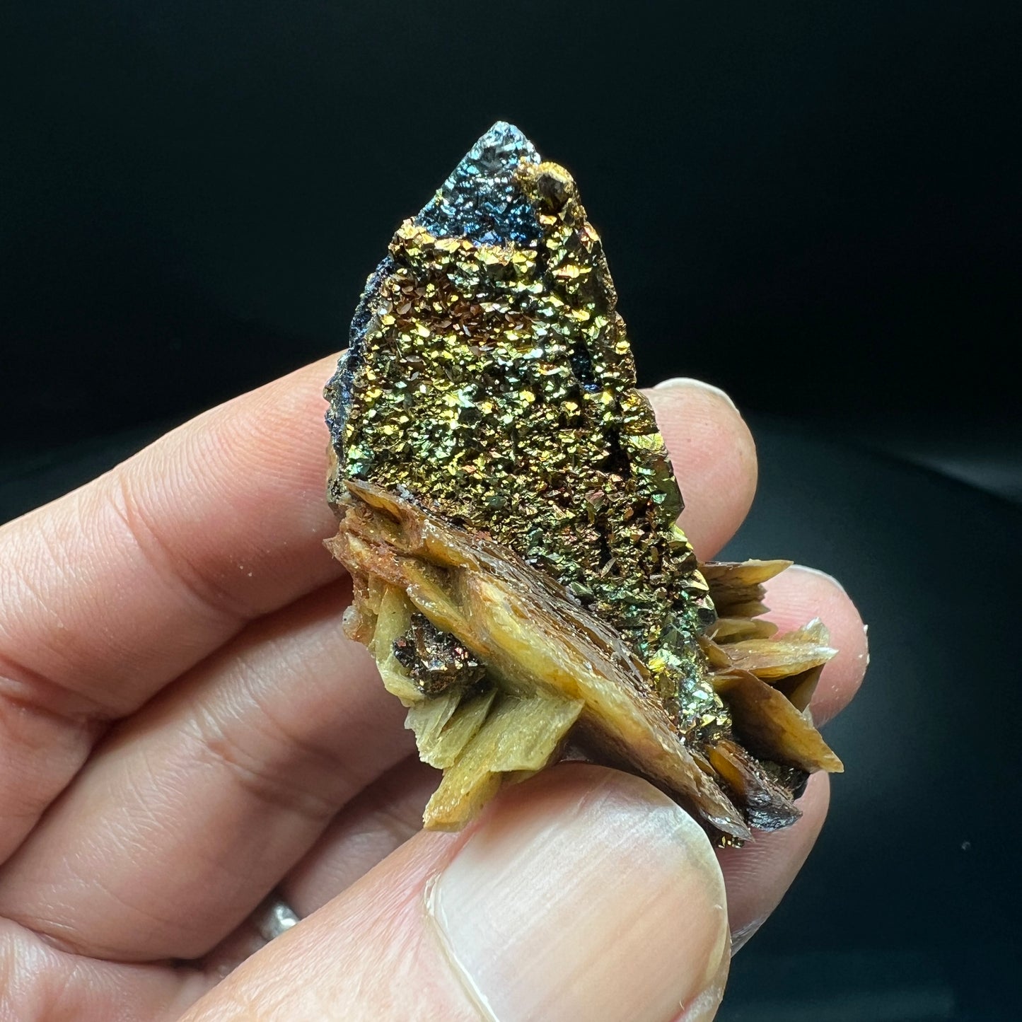 Tetrahedrite + Chalcopyrite + Siderite (Free shipping)