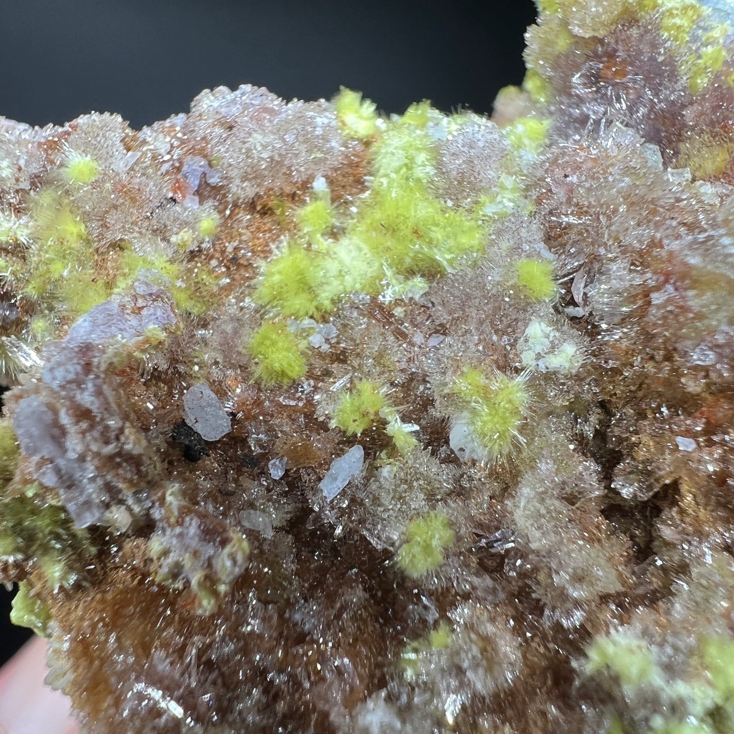 Carlhintzeite + Creedite (Free shipping)