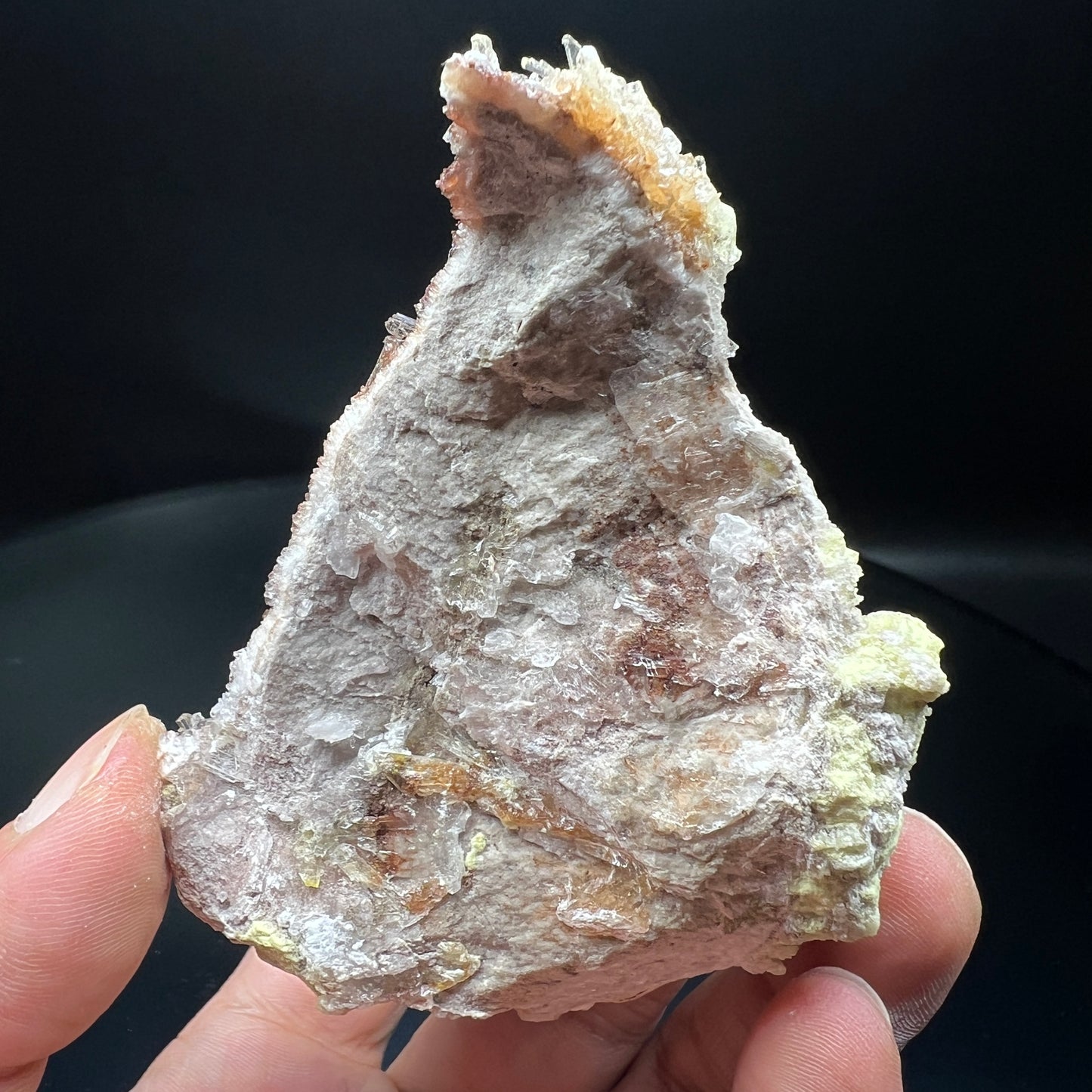 Creedite chrysanthemum (Free shipping)