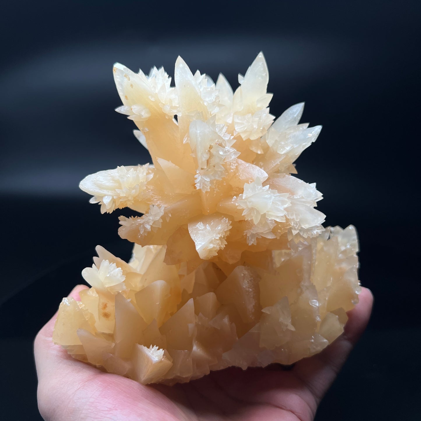 Calcite (Free shipping)
