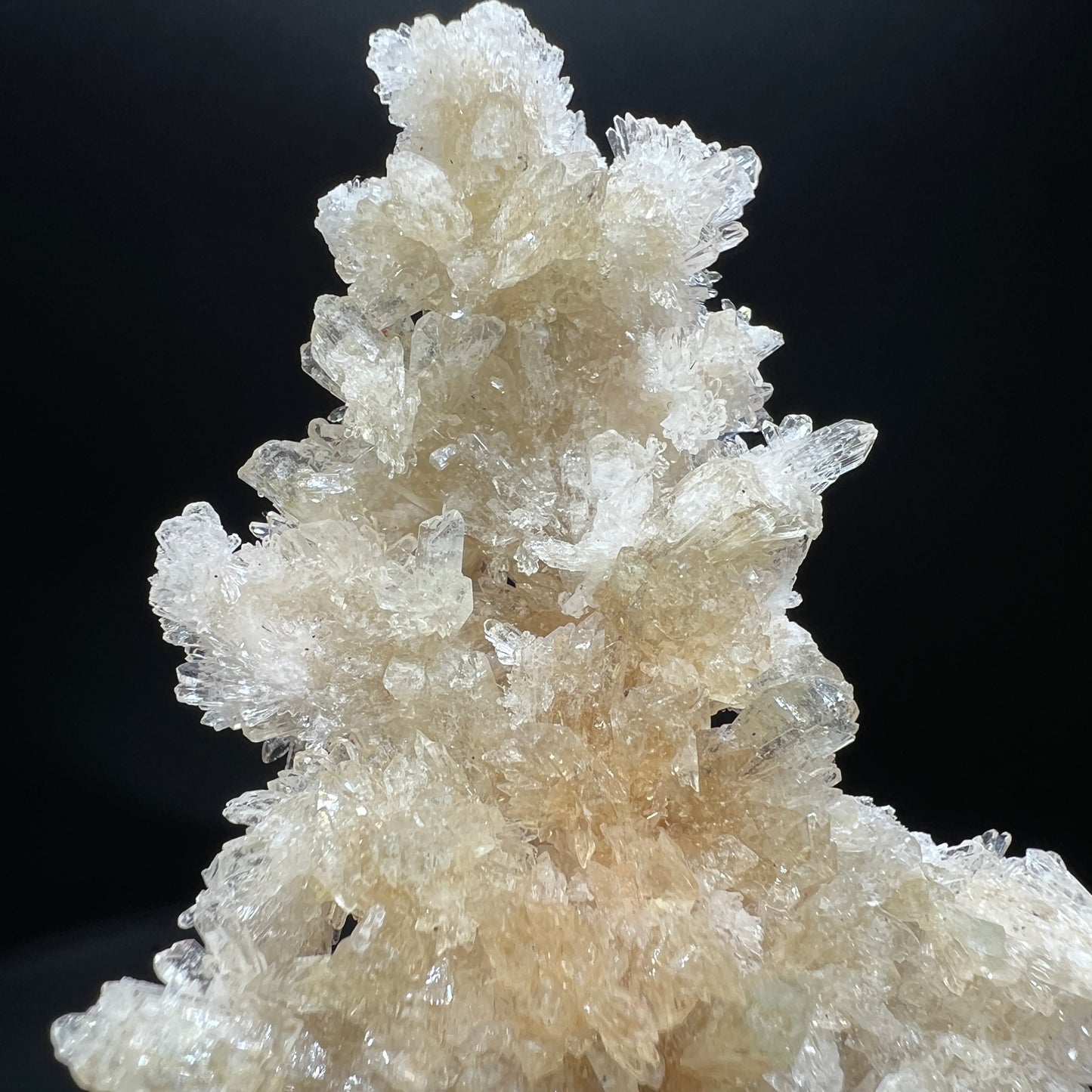Creedite(Free shipping)