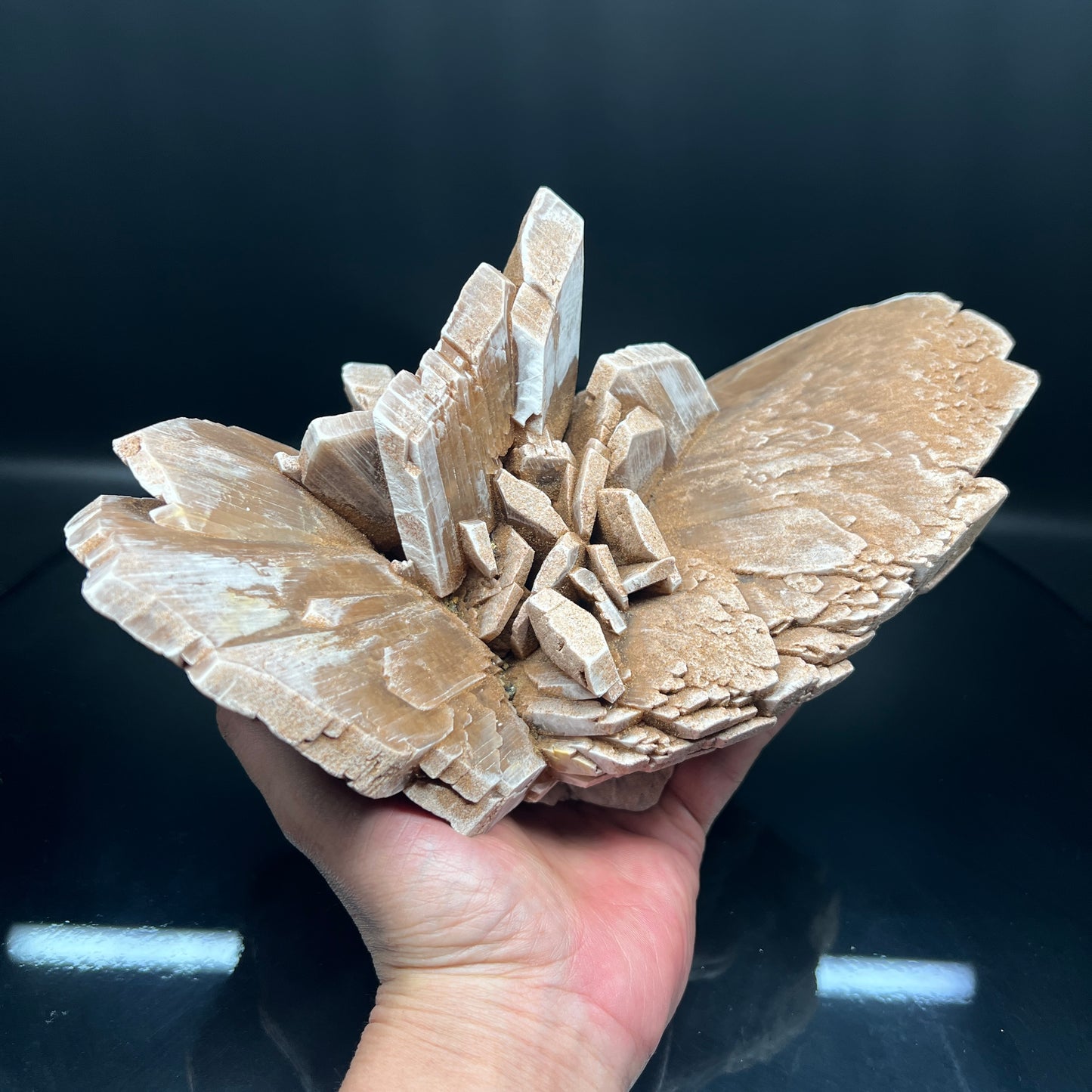 Gypsum (Free shipping)