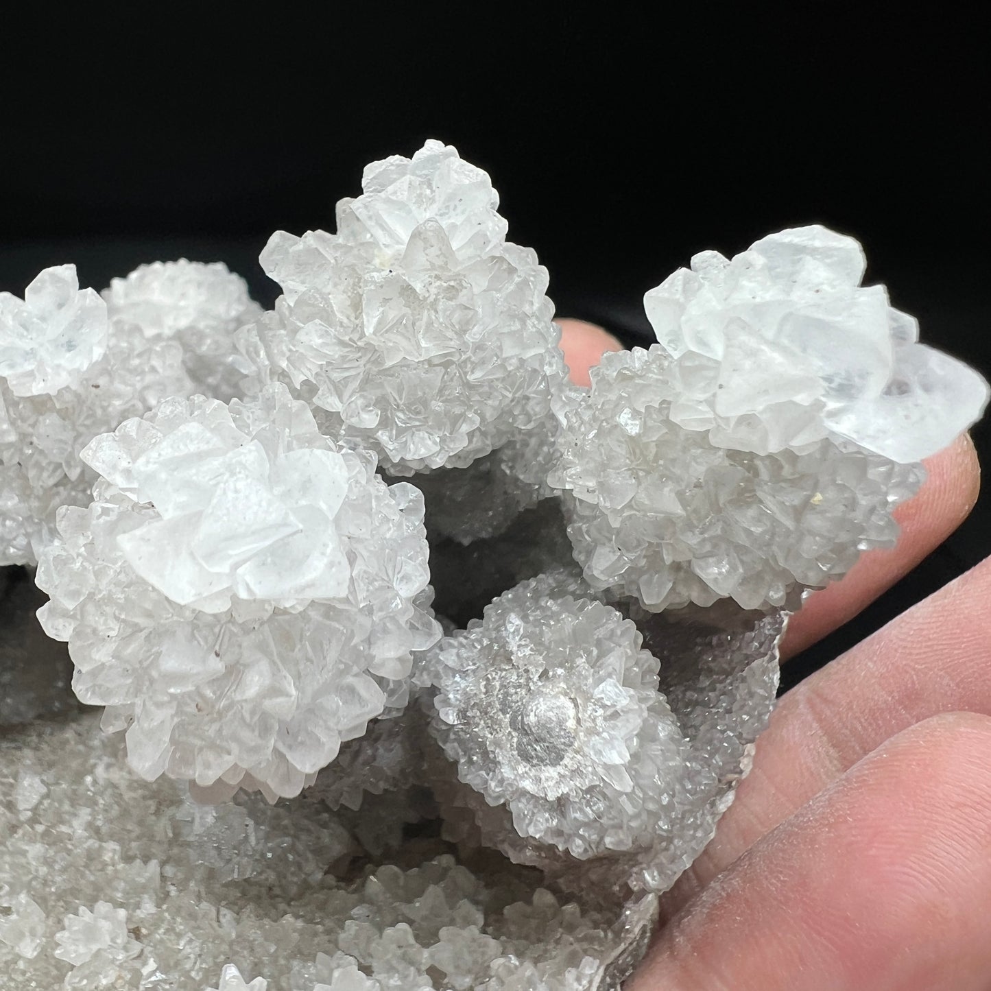 Flowers jungle Calcite (Free shipping worldwide)