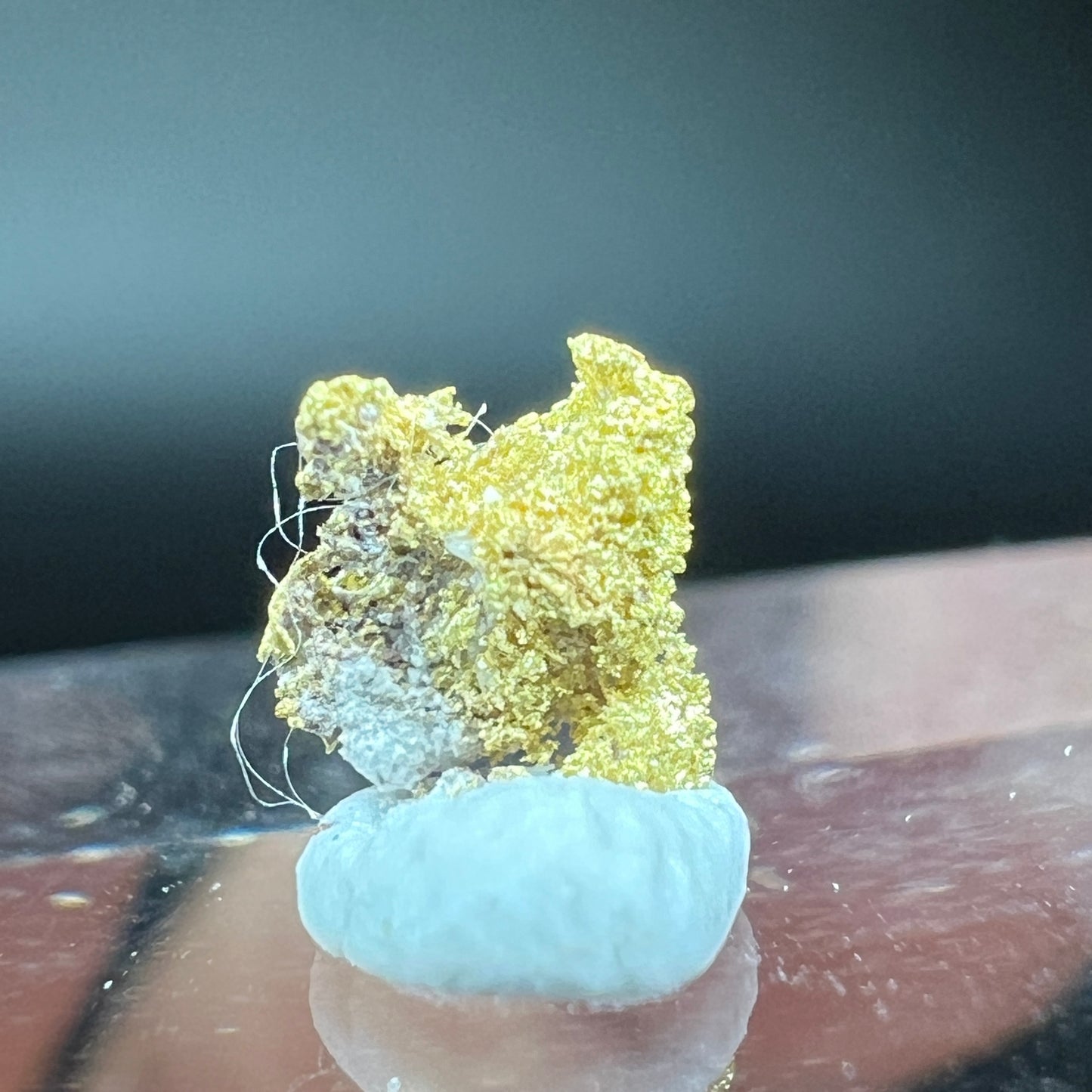 Natural gold (Free shipping)