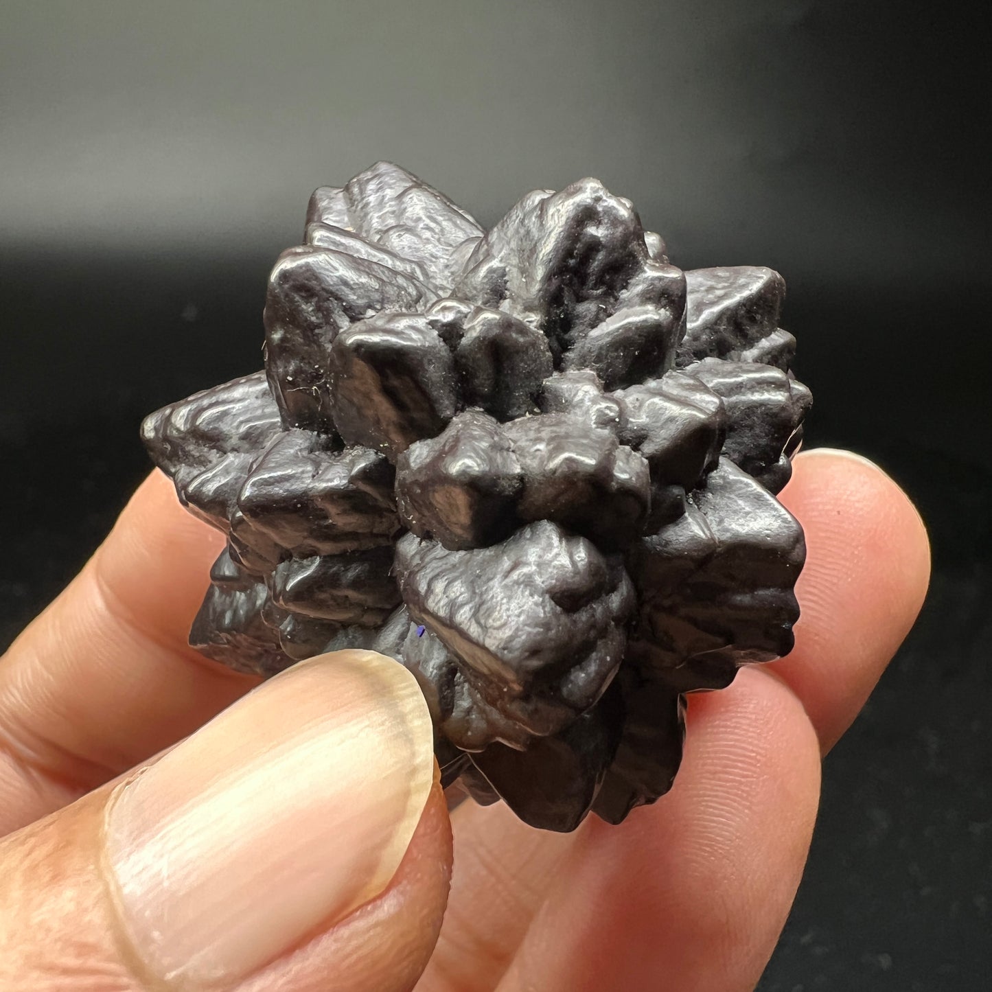 Limonite Flower bulbs (Free shipping)