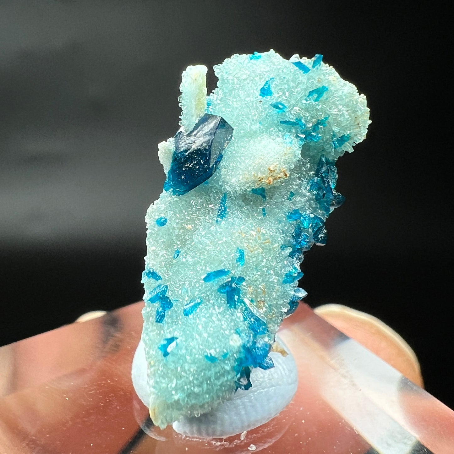 Veszelyite + Quartz (Free shipping)