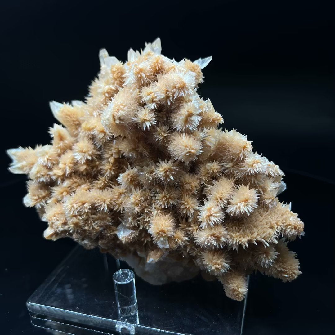 Two crystallizations Calcite (Free shipping)