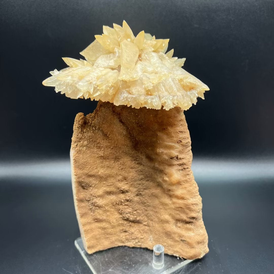 Calcite umbrella (Free shipping)