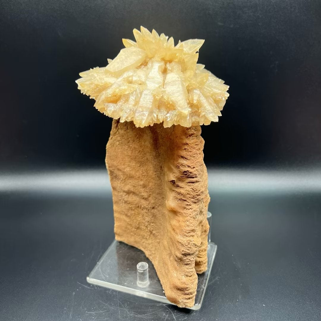 Calcite umbrella (Free shipping)