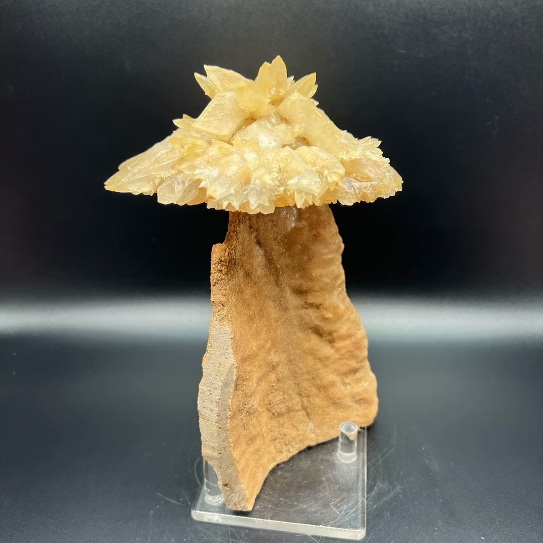 Calcite umbrella (Free shipping)