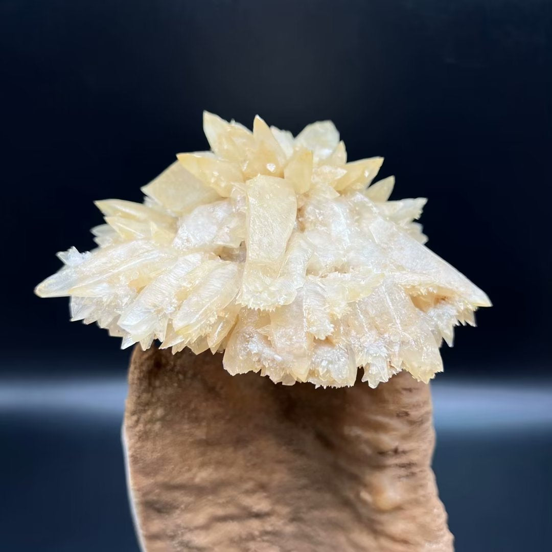 Calcite umbrella (Free shipping)