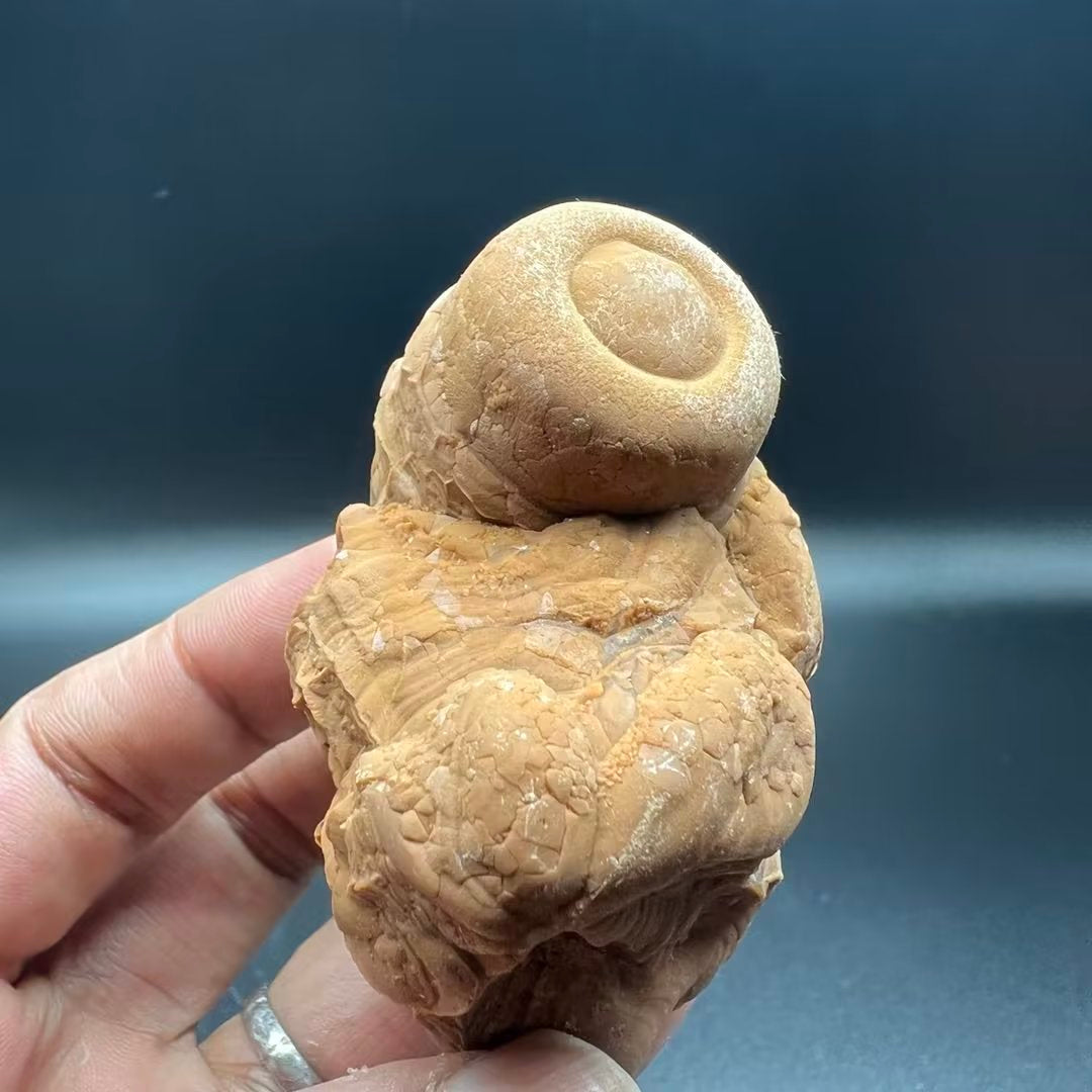 Calcite (Free shipping)