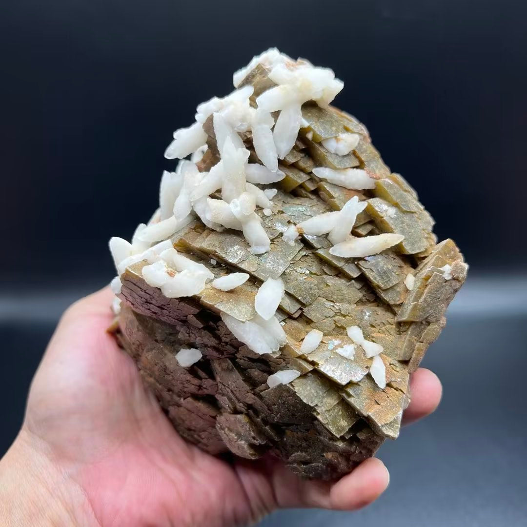 Siderite + Calcite (Free shipping)