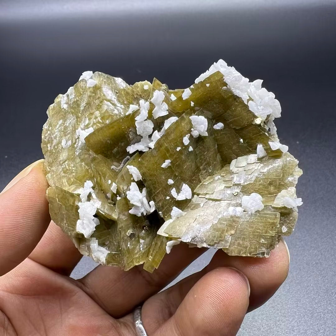 Siderite + Pyrite + Dolomite (Free shipping)