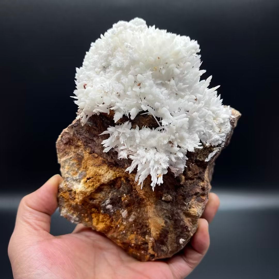 Aragonite (Free shipping)