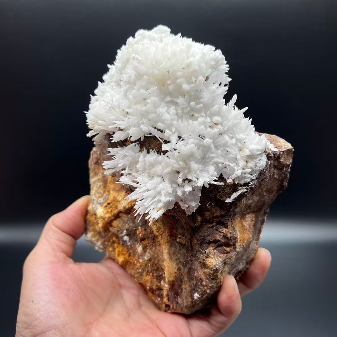 Aragonite (Free shipping)