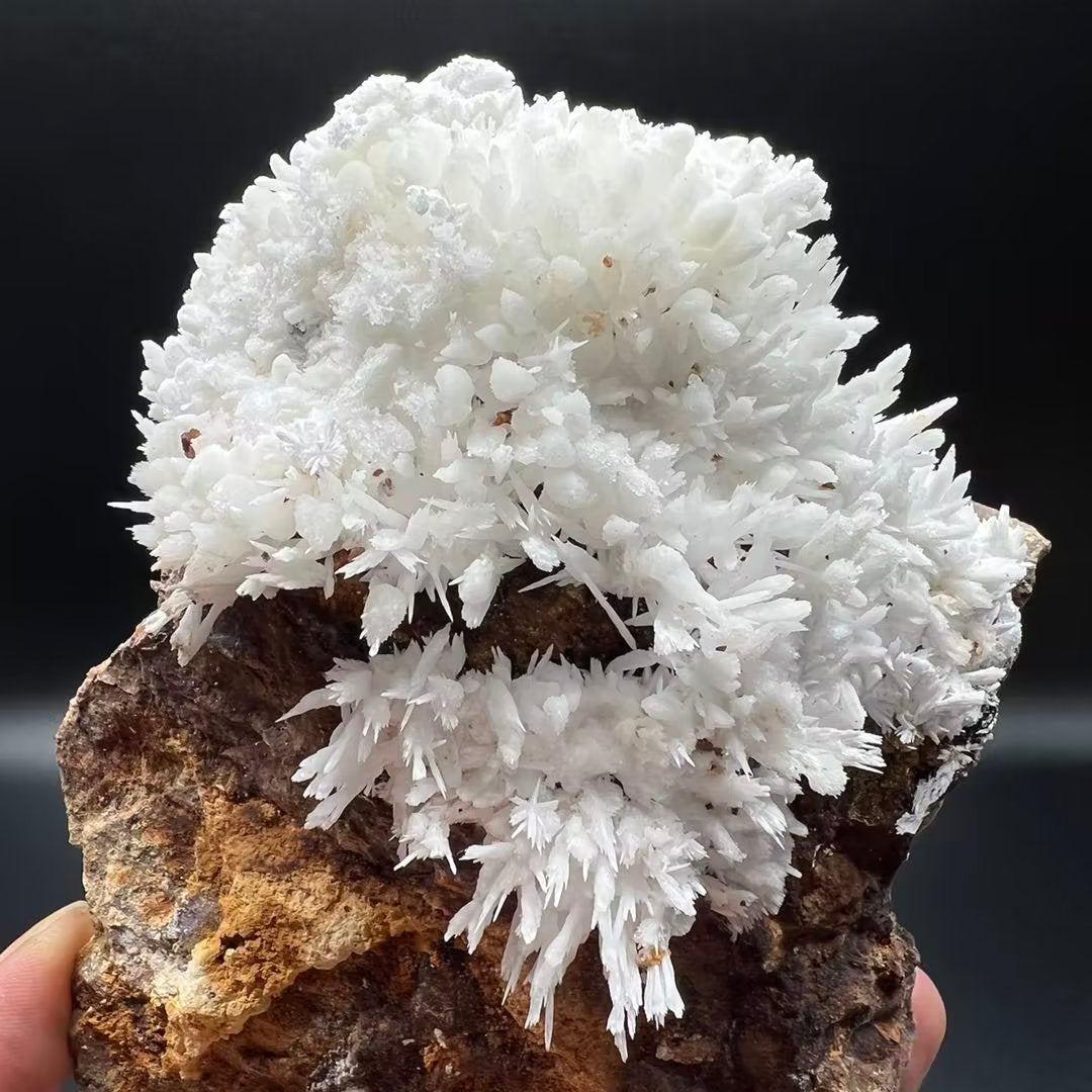 Aragonite (Free shipping)