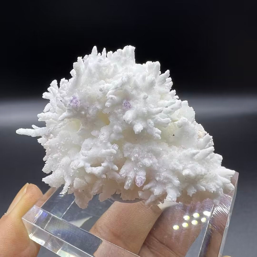 Fluorite + Aragonite (Free shipping)
