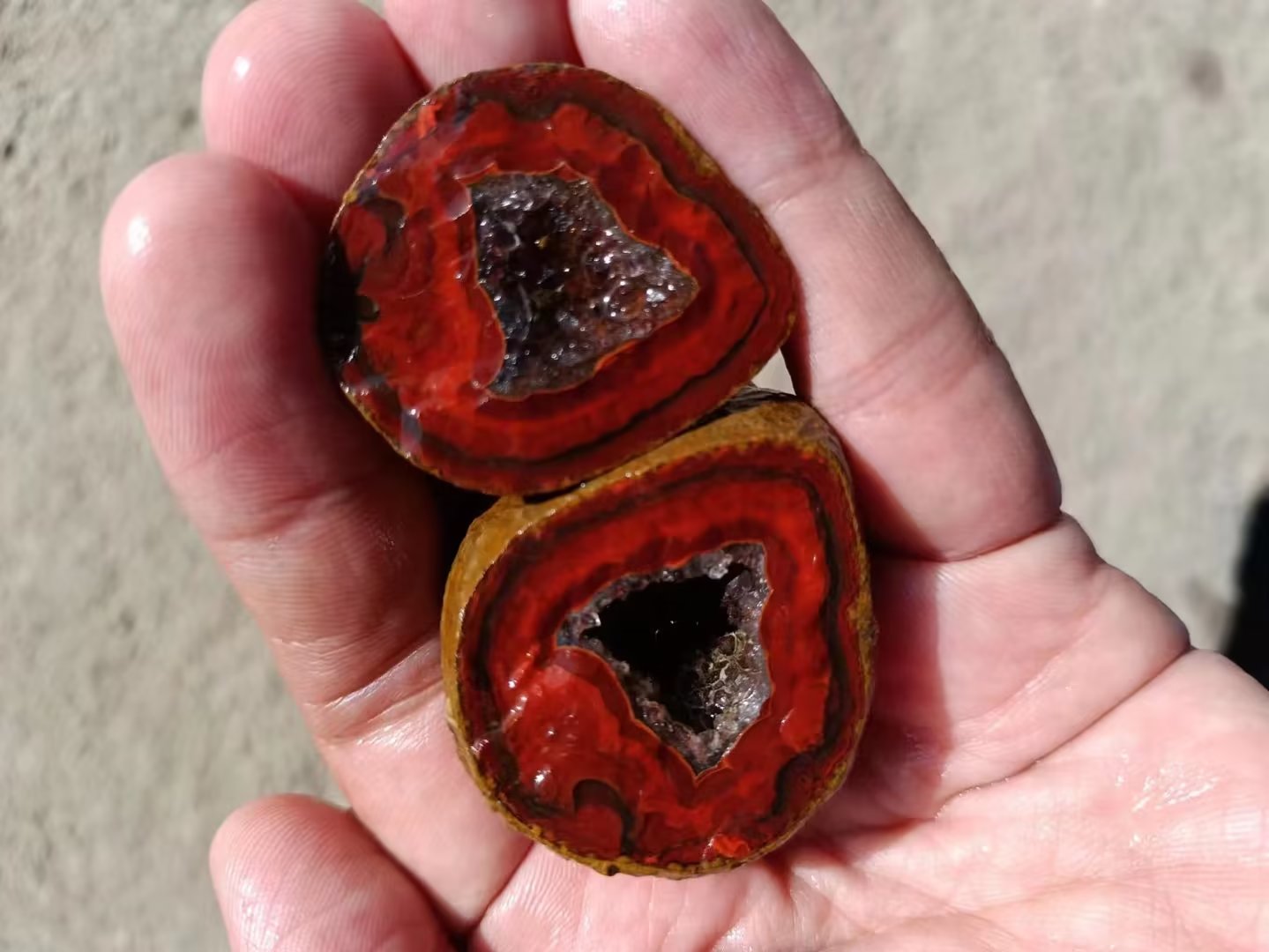 Agate Quartz geode (Free shipping)