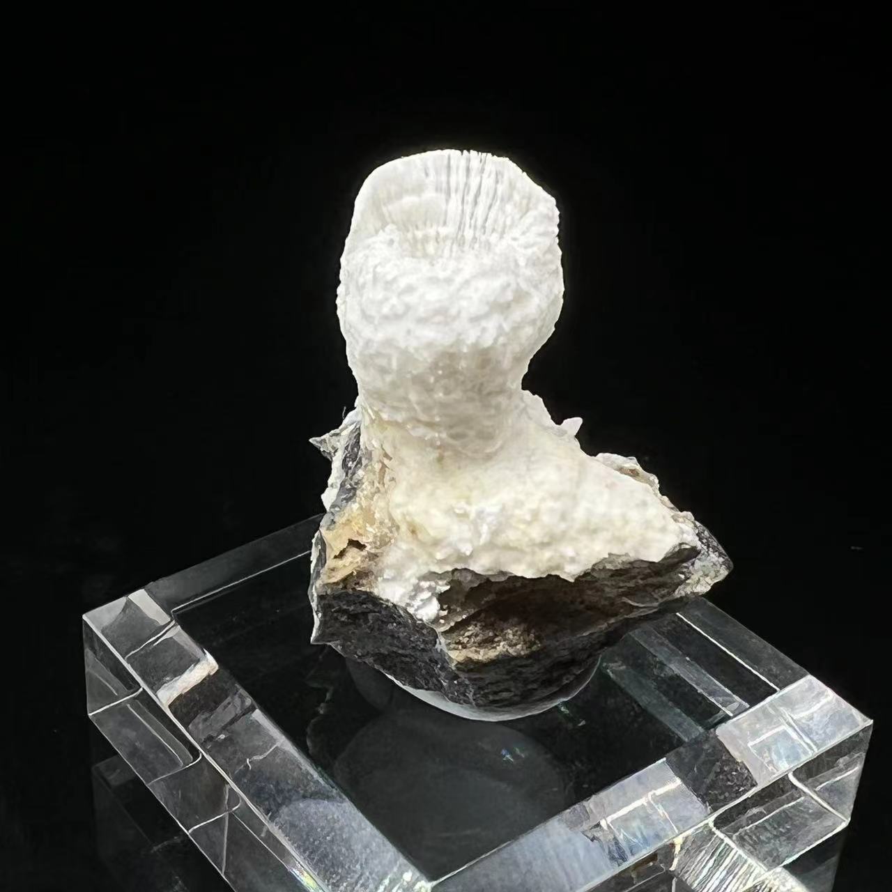 Goblet Aragonite (Free shipping)