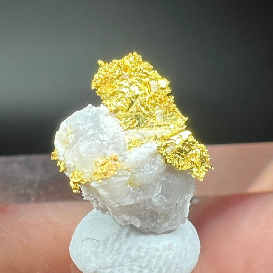 Natural gold (Free shipping)