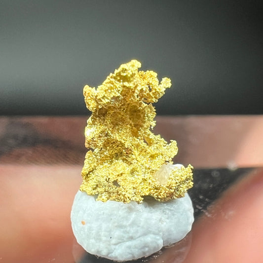 Natural gold (Free shipping)