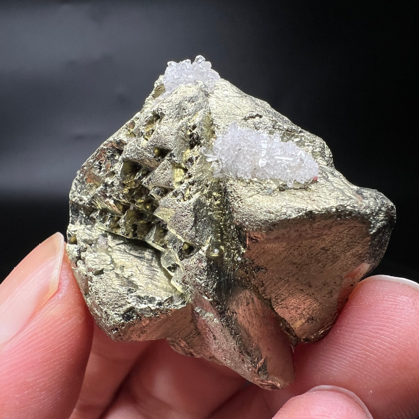 Chalcopyrite + Quartz (Free shipping)