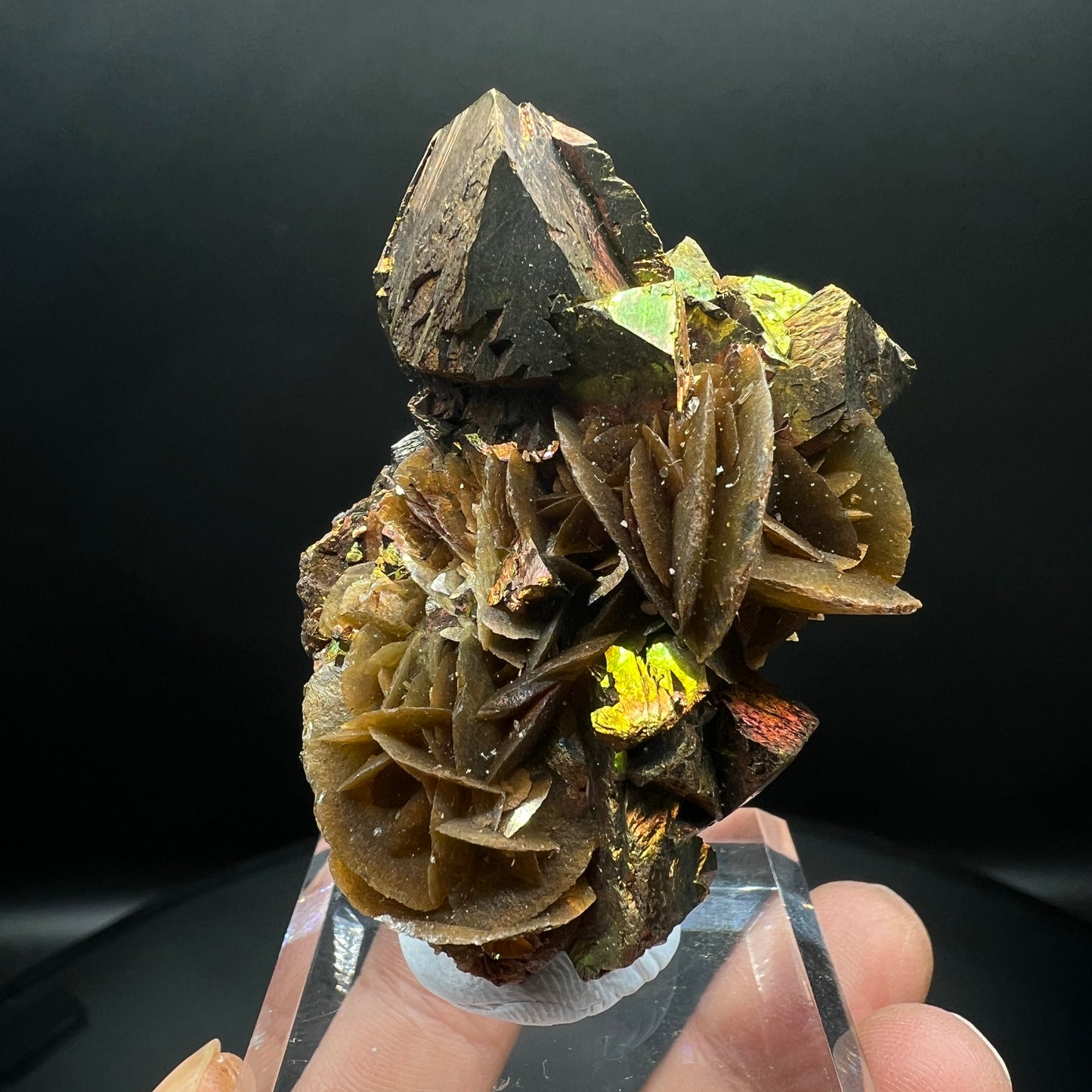 Chalcopyrite + Tetrahedrite + Siderite (Free shipping)