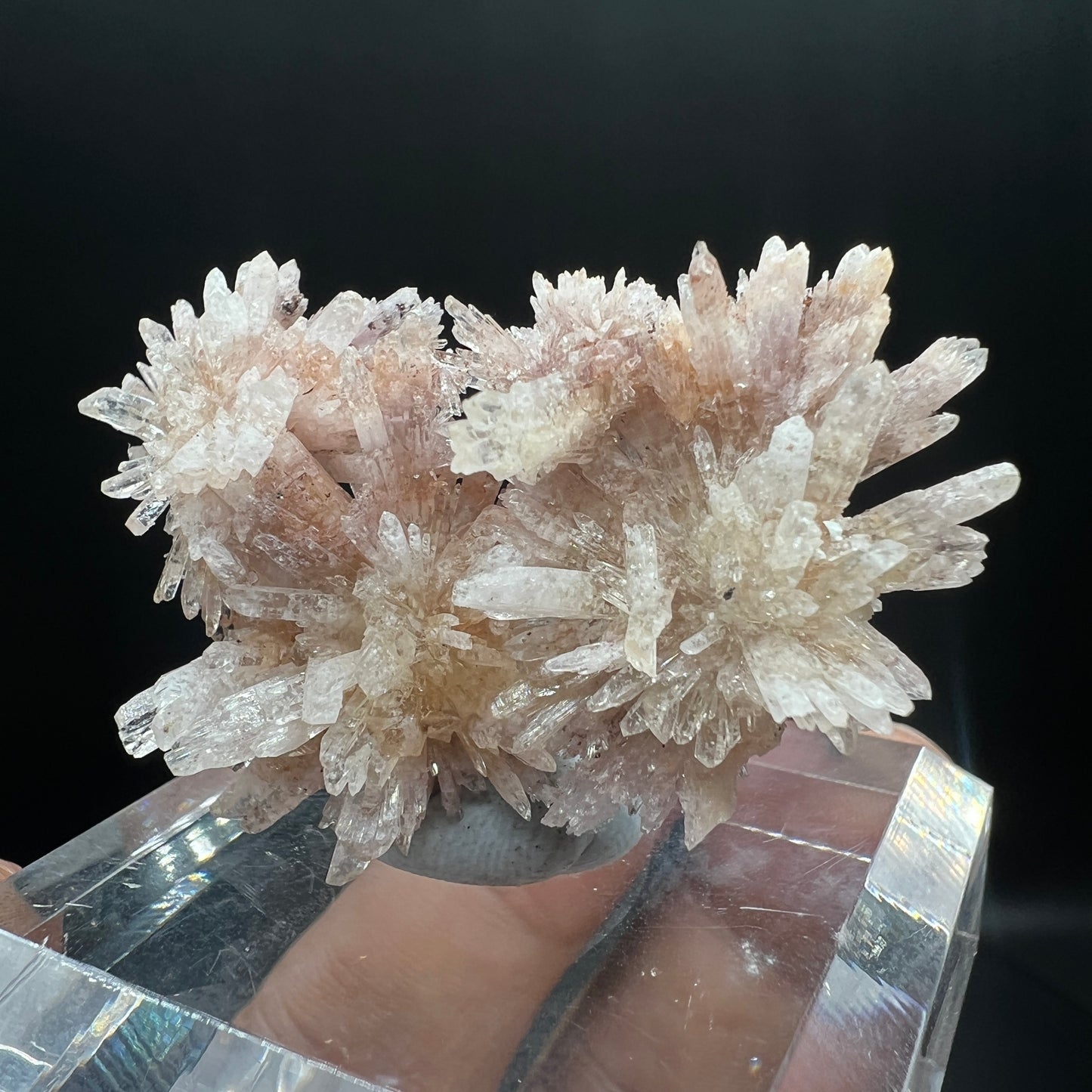 Floater Creedite (Free shipping worldwide)