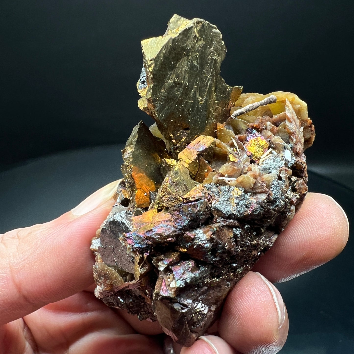 Chalcopyrite + Tetrahedrite + Siderite (Free shipping)