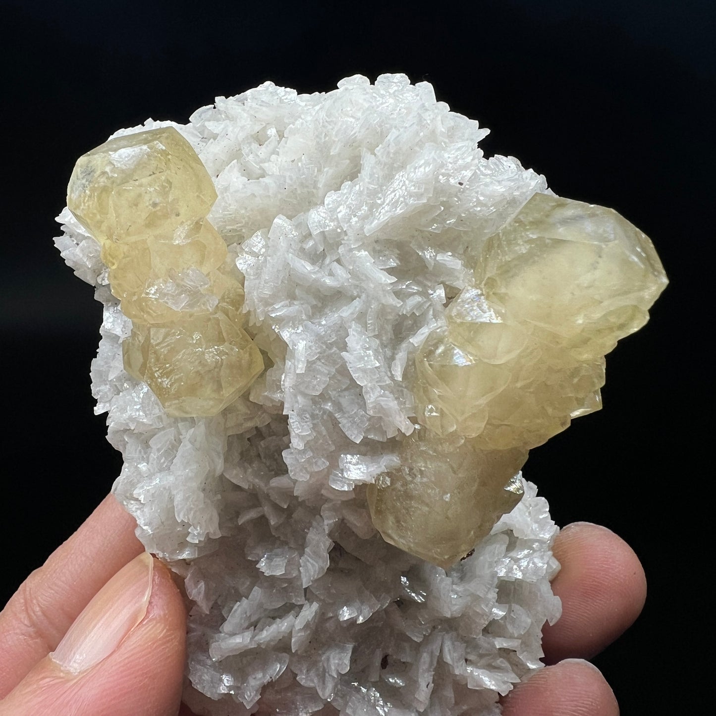 Calcite + Chalcopyrite + Dolomite (Free shipping)