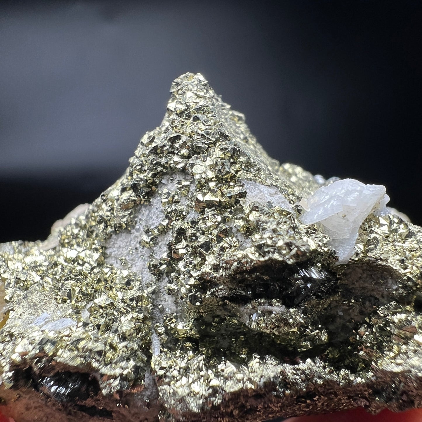 Floater Chalcopyrite cover Tetrahedrite + Dolomite + Siderite (Free shipping)