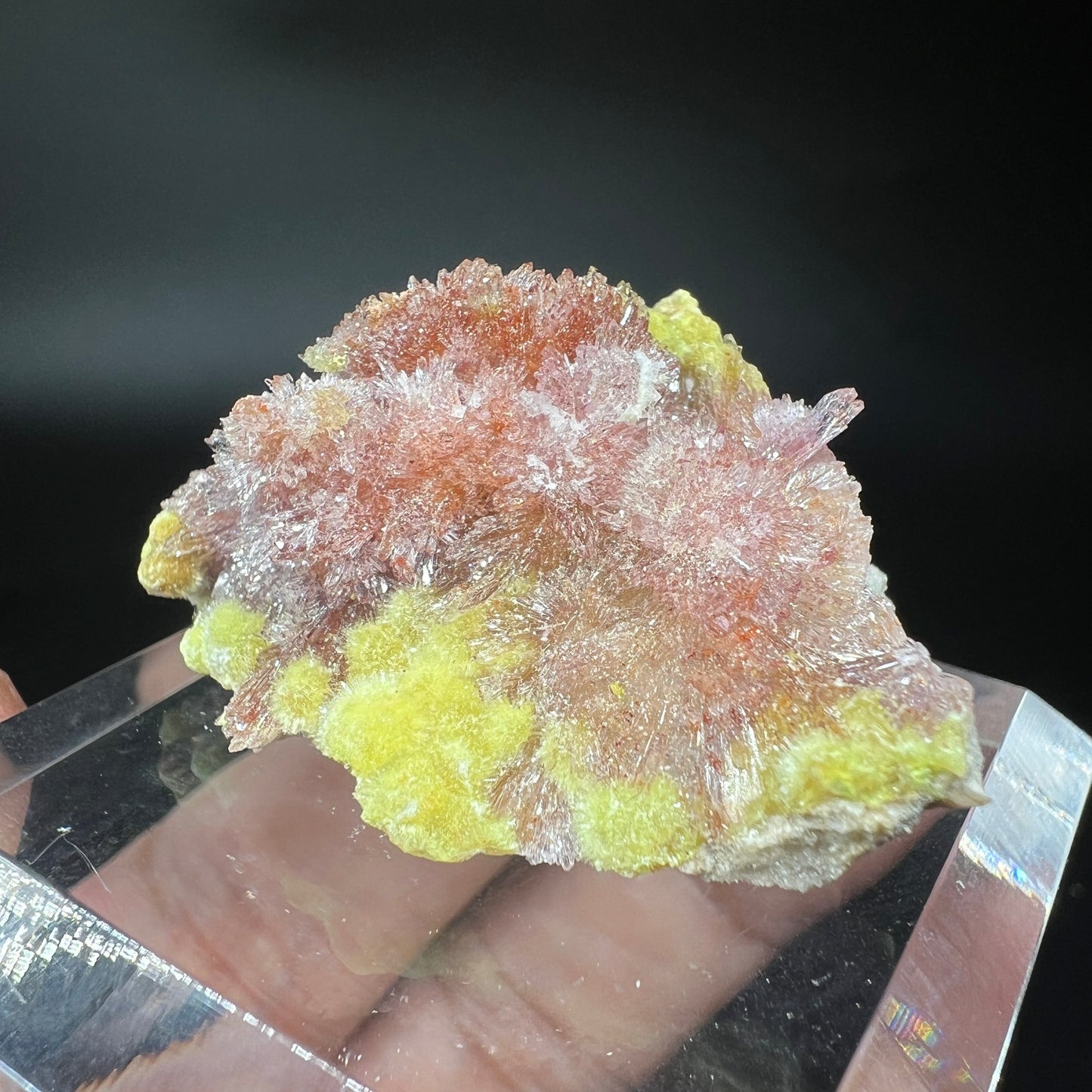 Carlhintzeite + Creedite (Free shipping)