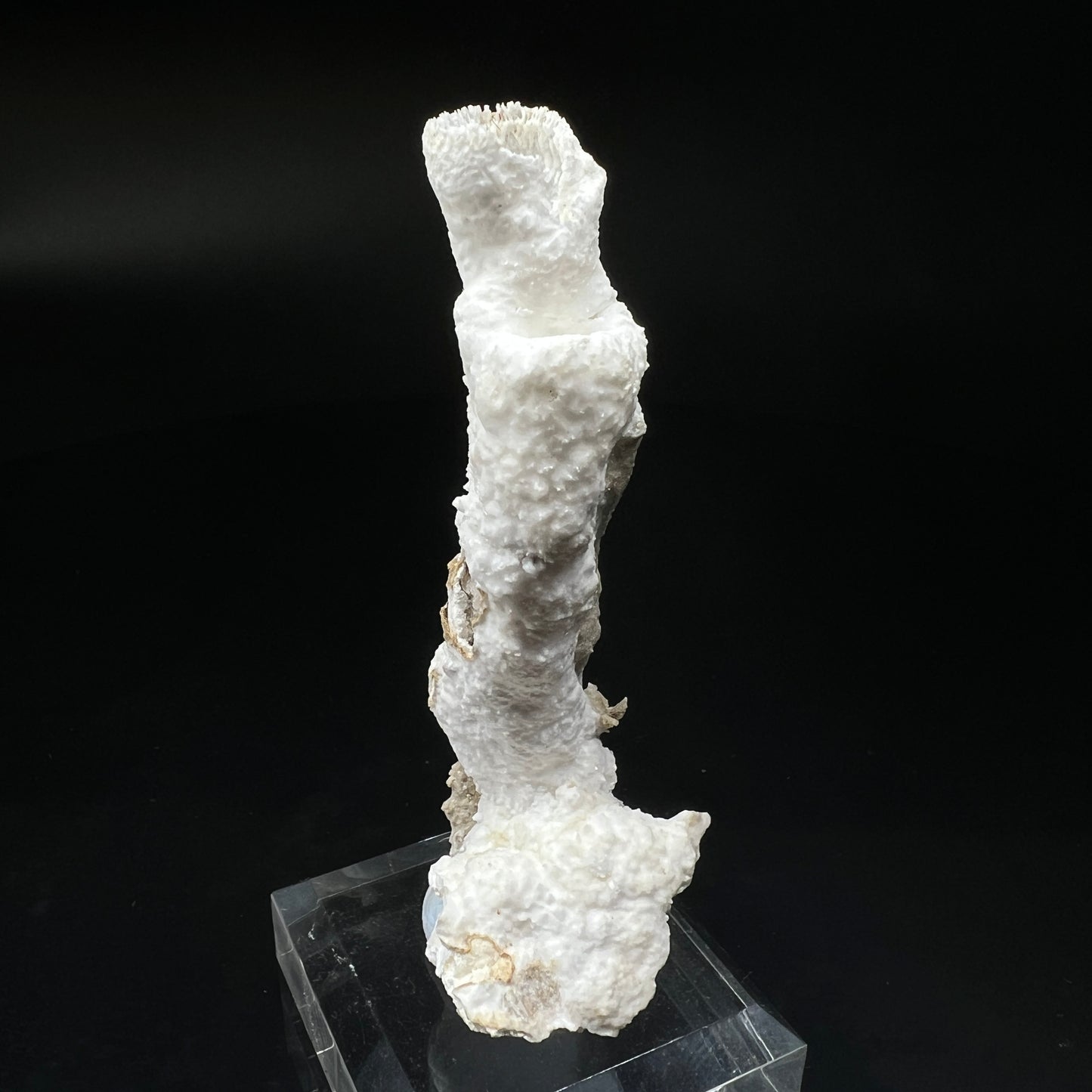 Goblet Aragonite (Free shipping)